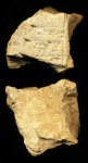 Tablet - N7020 | Collections - Penn Museum