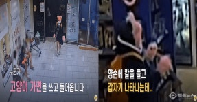경남 거제 마트서 고양이 가면 女, 흉기 들고 아이 쫓아…10분간 난동 (+영상) | 자유게시판 | 커뮤니티 - 팍스넷 증권포털