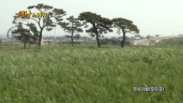 공공누리