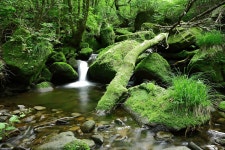 수요일 물사진 올려봅니다. - 팝코넷 | 자유게시판 수요일 물사진 올려봅니다.