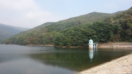 물 사진 올리고 30분 뒤에는 나무 사진을 일빠로 올려야겠어요 - 팝코넷 | 자유게시판 물 사진 올리고 30분 뒤에는 나무 사진을 일빠로... 