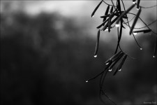 이웃님들 보았으면 하는 영화. - 팝코넷 | 자유게시판 이웃님들 보았으면 하는 영화.