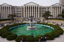 현재 경희대학교 벚꽃 - 팝코넷 | 자유게시판 현재 경희대학교 벚꽃