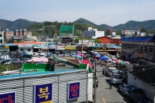 경산 자인 .  - 팝코넷 | 자유게시판 경산 자인 .