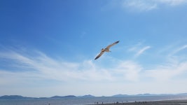 날이 좋아~~근처 동막해수욕장에 ^^ - 팝코넷 | 자유게시판 날이 좋아~~근처 동막해수욕장에 ^^