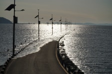 현재 제부도 입구 - 팝코넷 | 자유게시판 현재 제부도 입구