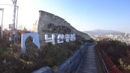 오늘자 낙산공원 - 팝코넷 | 자유게시판 오늘자 낙산공원