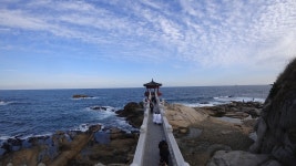 현재 속초 동명항 - 팝코넷 | 자유게시판 현재 속초 동명항