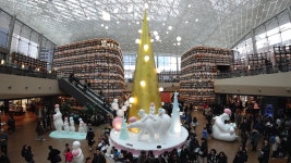 코엑스 별다방 도서관 - 팝코넷 | 자유게시판 코엑스 별다방 도서관
