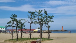 현재 낙산해수욕장 - 팝코넷 | 팝게&톡 이슈게시판 현재 낙산해수욕장