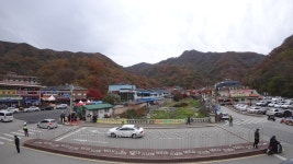 현재 내장산 단풍 - 팝코넷 | 팝게&톡 이슈게시판 현재 내장산 단풍