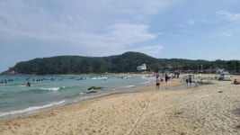 현재 설악해변 - 팝코넷 | 자유게시판 현재 설악해변
