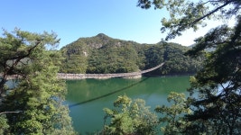 현재 제천 옥순봉 출렁다리 - 팝코넷 | 자유게시판 현재 제천 옥순봉 출렁다리