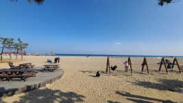 현재 낙산해수욕장 - 팝코넷 | 팝게&톡 이슈게시판 현재 낙산해수욕장