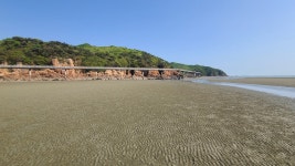 현재 하나개 해수욕장 - 팝코넷 | 자유게시판 현재 하나개 해수욕장