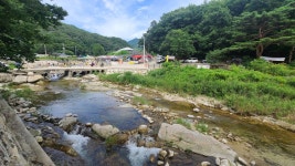 현재 백운계곡 - 팝코넷 | 자유게시판 현재 백운계곡