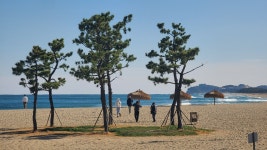 현재 낙산해수욕장 - 팝코넷 | 자유게시판 현재 낙산해수욕장