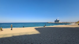 현재 안목해변 - 팝코넷 | 자유게시판 현재 안목해변