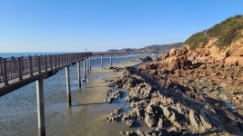 현재 하나개 해수욕장 - 팝코넷 | 자유게시판 현재 하나개 해수욕장