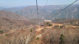 현재 정선 가리왕산 케이블카 - 팝코넷 | 자유게시판 현재 정선 가리왕산 케이블카