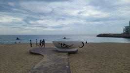 현재 안목해변 - 팝코넷 | 자유게시판 현재 안목해변