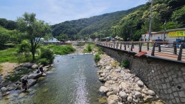 현재 포천 백운계곡 - 팝코넷 | 자유게시판 현재 포천 백운계곡