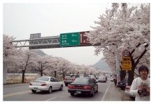 [대전출사] 계룡산편 Part I - [대전출사] 계룡산편 Part I