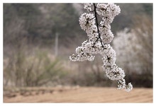 [대전출사] 계룡산편 Part II - [대전출사] 계룡산편 Part II