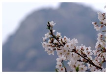 [대전출사] 계룡산편 Part I - [대전출사] 계룡산편 Part I