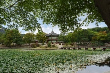 [Hx60v] ^^ 향정원 의 가을.. - 똑딱이 Talk [Hx60v] ^^  향정원 의 가을..