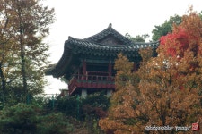 [FinePix S1] 궁산의 옛모습 소악루 - 똑딱이 Talk [FinePix S1] 궁산의 옛모습 소악루