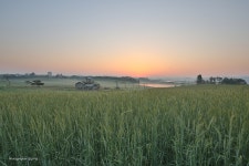 [오막삼 + 16-35 F4] 부처님 오신날의 안성목장 일출 - 캐논 Talk [오막삼 + 16-35 F4] 부처님 오신날의 안성목장 일출