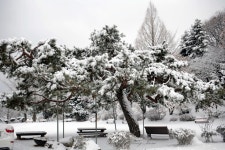 영락노인복지관 설경 - 캐논 Talk 영락노인복지관 설경