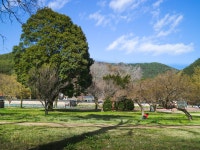 지리산 자락 마을에도 봄이 왔어요 - 캐논 Talk 지리산 자락 마을에도 봄이 왔어요