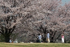 봄 은 이미 가셨습니다 - 캐논 Talk 봄 은 이미 가셨습니다