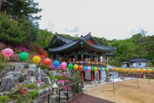 정덕사 - 캐논 Talk 정덕사