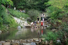 동네마실 - 캐논 Talk 동네마실