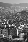 창원시 안민고개 - 후지필름 Talk 창원시 안민고개