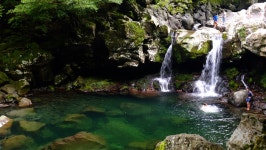 [x100T] 제주도 돈내코 다녀왔슴다. - 후지필름 Talk [x100T] 제주도 돈내코 다녀왔슴다.