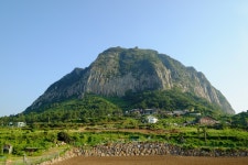 [X-T1] 산방산 주변에서의 하루 - 후지필름 Talk [X-T1] 산방산 주변에서의 하루