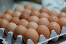 [55%] 계란한판 ... ISO 3200 - 후지필름 Talk [55%]  계란한판 ... ISO 3200