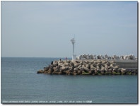 [M1033] 해안도로를 따라서 - 코닥 Talk [M1033] 해안도로를 따라서