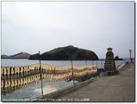 [M1033] 해안도로를 따라서(2) - 코닥 Talk [M1033] 해안도로를 따라서(2)