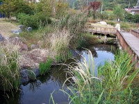 [z8612is] 부천 수자원 생태공원 - 코닥 Talk [z8612is] 부천 수자원 생태공원