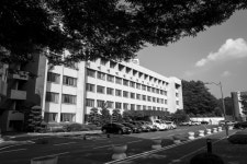 [Q] 공주 석장리 박물관 코스모스, 백제문화제, 독립기념관 - 라이카 Talk [Q] 공주 석장리 박물관 코스모스, 백제문화제, 독립기념관