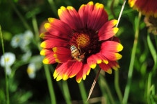 [d300 + 18-55 II] 동네 한바퀴 - 니콘 Talk [d300 + 18-55 II] 동네 한바퀴