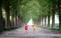 8월 메타길 -1- - 니콘 Talk 8월 메타길 -1-