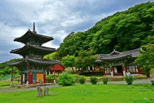 쌍봉사 - 니콘 Talk 쌍봉사