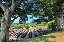 [D3+토키나16-28]고택의 여름3 - 니콘 Talk [D3+토키나16-28]고택의 여름3