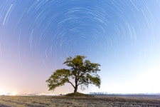 [D810] 주남저수지 왕따나무 - 니콘 Talk [D810] 주남저수지 왕따나무